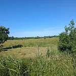 5 Star In * Blåvand