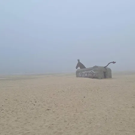 5 Star In * Blåvand